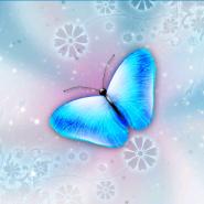 bluebutterfly222