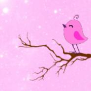 Palu_Sweet_Birds