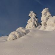 Liv-Malin_Winter