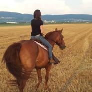 LaRenarde