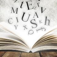 Buchstabendiebin