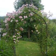 gogardening
