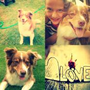 LilliLove