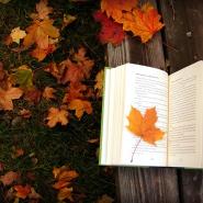 doodle_books