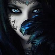 Obsidianfeder