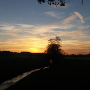 Sternchen_16