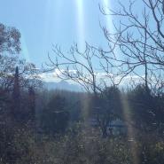 moramora