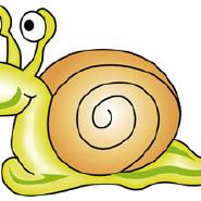 Schnecke210