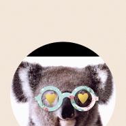 Lesekoala