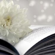 ebookpassion10
