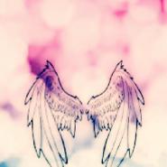 Wings_14