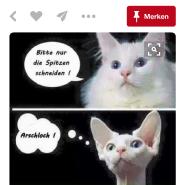 Susilovez