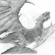 Halflightpaw