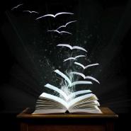readernumbertwothousandsixteen
