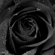 Mystic_Angel