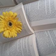 sunshineandbooks1410