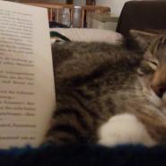 MoervieReads