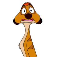 Timon