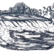 TinaliesteinBuch
