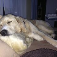 sandy_201