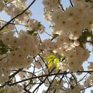 VeraliebtSonne