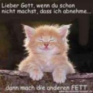 Nicecat
