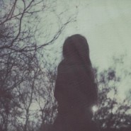 butterfly_773