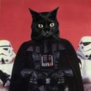 Vader1071