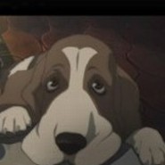 Basset