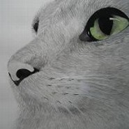 Carriecat