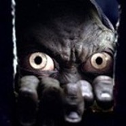 Elim_Garak
