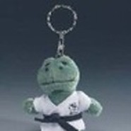 JudoFrosch