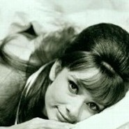 Miss Golightly