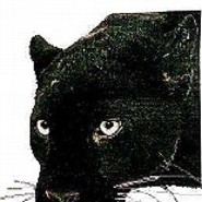 Panther