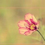 Schnatterinchen123