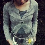 Sumpfwasserfeder