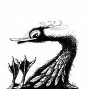 Wollhuehnchen