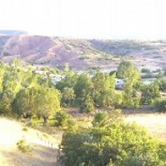 amed