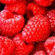 himbeere87