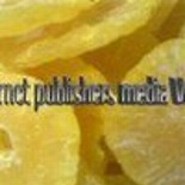 internetpublishersmediaVerlag
