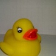 maweckma