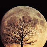 moonchild