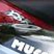 muff99