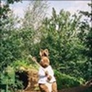 peterrabbit