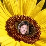 sommerblume