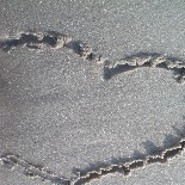 summerlove