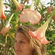 susibes