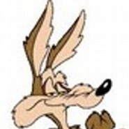 wildcoyote