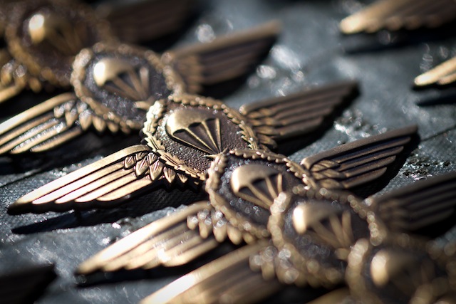 photograph picture of paratroopers medal