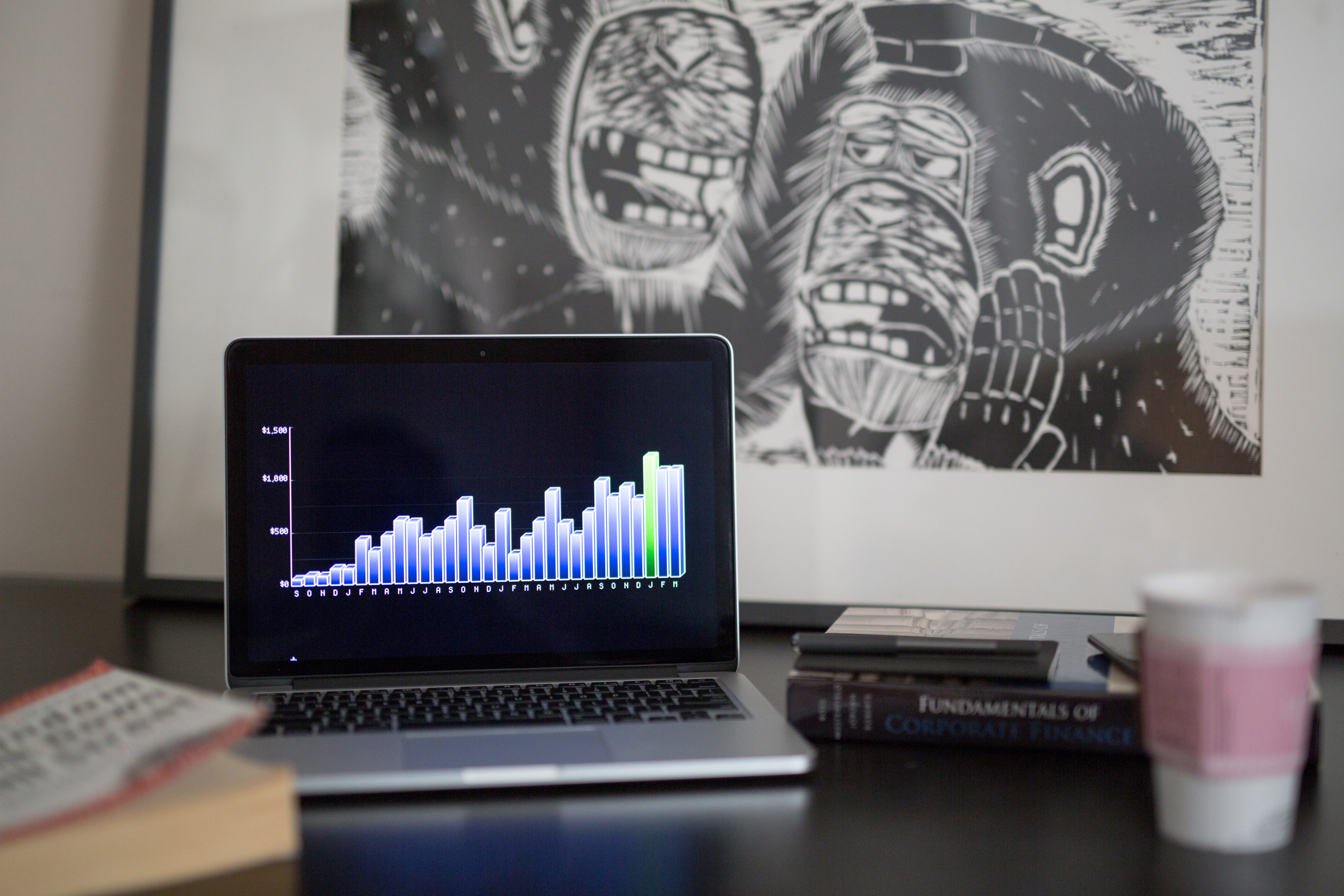 photograph picture of a macbook displaying cost calculations